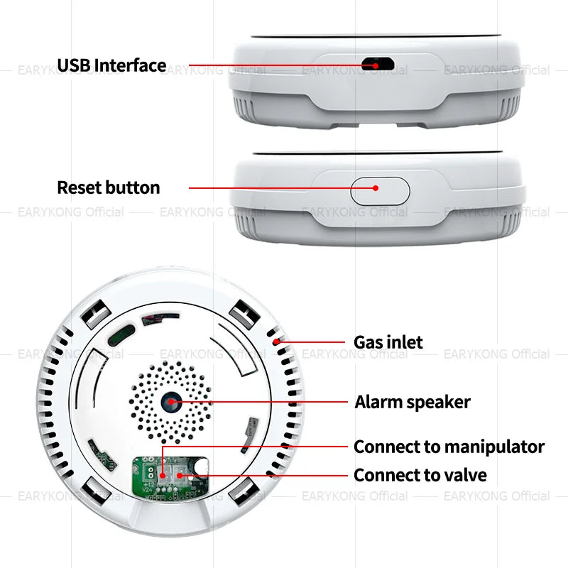 Tuya WiFi Gas Leak Detector | Smart Combustible Alarm - Home Pulse