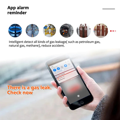 Tuya WiFi Gas Leak Detector | Smart Combustible Alarm - Home Pulse