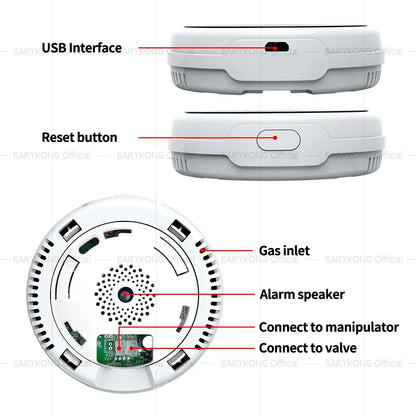 Tuya WiFi Gas Leak Detector | Smart Combustible Alarm - Home Pulse