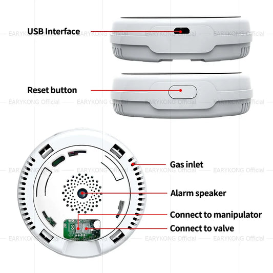 Tuya WiFi Gas Leak Detector | Smart Combustible Alarm - Home Pulse